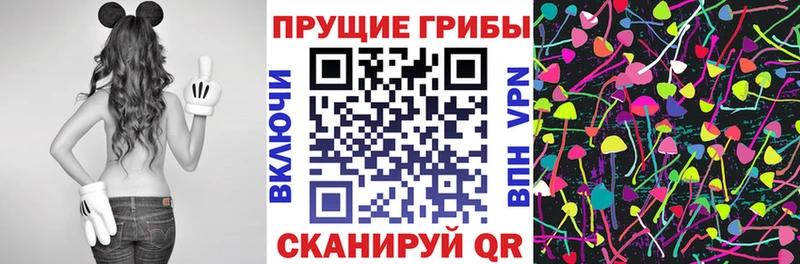 Галлюциногенные грибы мицелий  Звенигород 